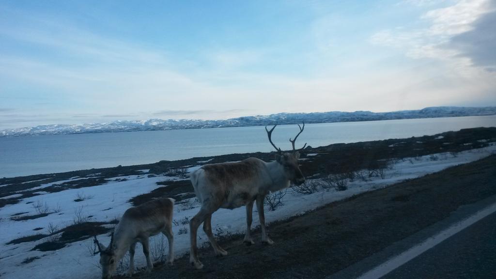 Varangertunet Arctic Jakobselv