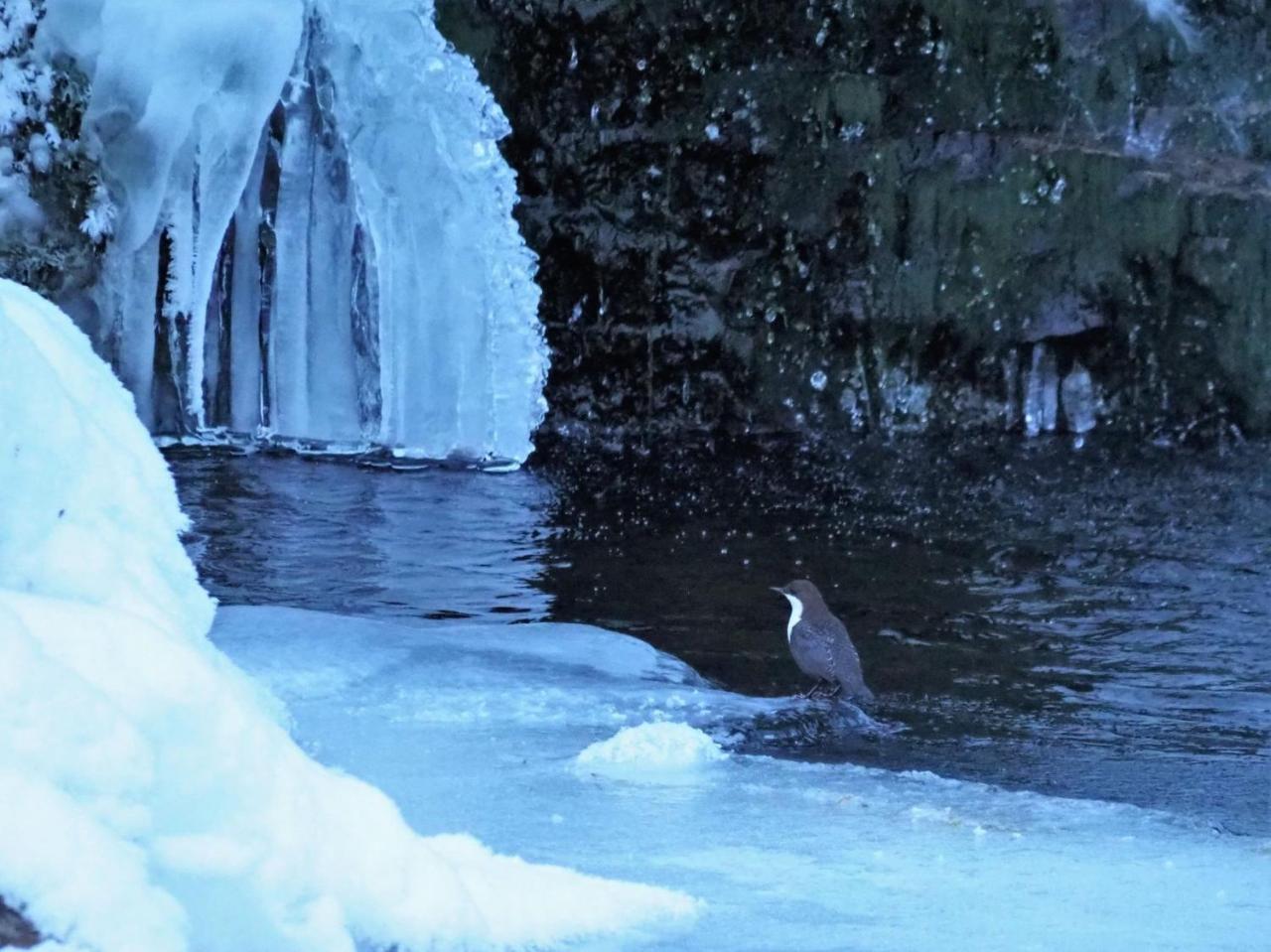 Varangertunet Arctic * Jakobselv