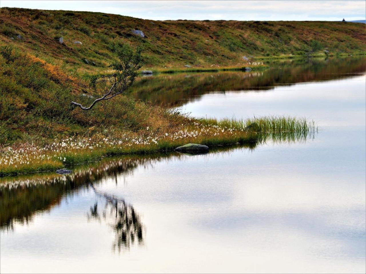 Varangertunet Arctic